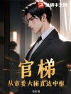 官梯:从市委大秘直达中枢