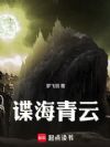 谍海青云