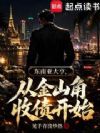 东南亚教父,从金山角收债开始