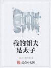 我的姐夫是太子